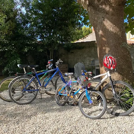 Paulownia - A 1,2km Des Plages - Confort Au Coeur Du Bourg ヴィラ ジャール・シュル・メール